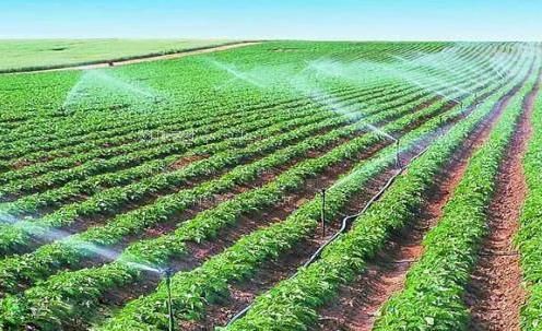 非洲农村老妇人色农田高 效节水灌溉